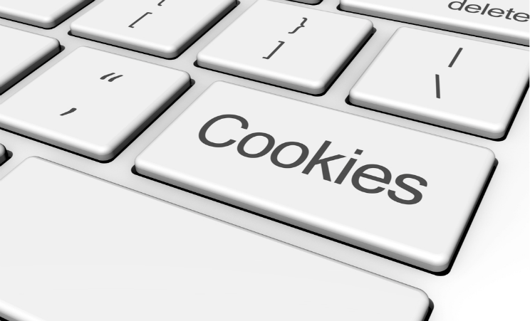 ANPD emite recomendações para a coleta de cookies ao Portal Gov.Br